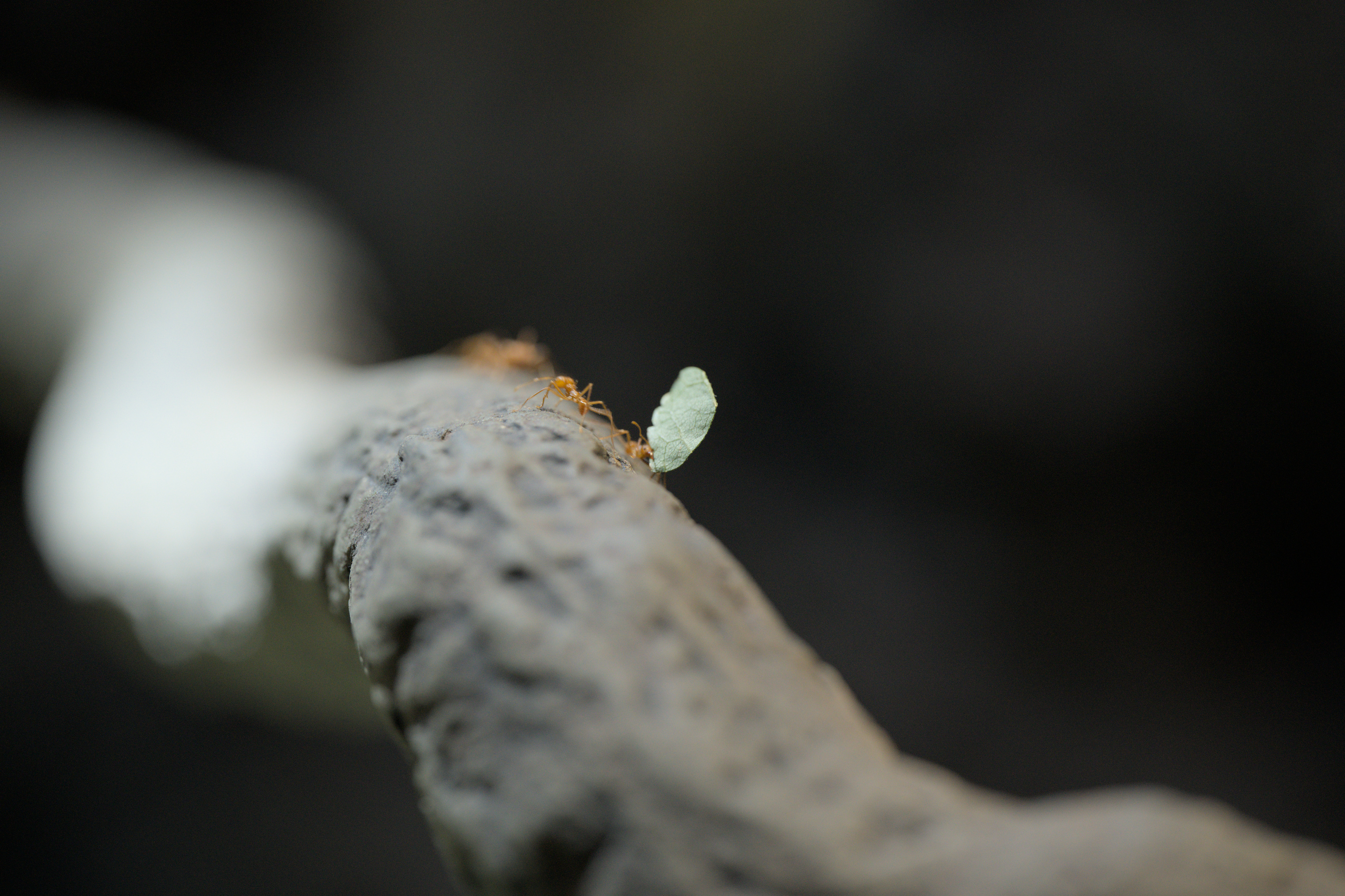 2025/10/12 - zoo/DSC_0232.jpg